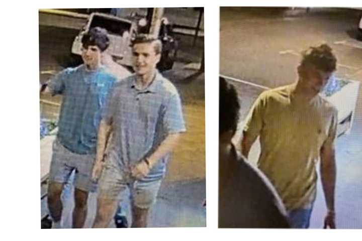 Watch: Trio Wanted For Damaging Property In Port Jefferson