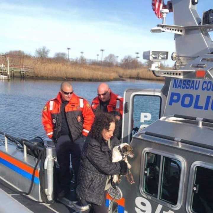 The officers return a dog who was drowning to its owner after rescuing the pup.