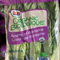 Recall Issued For Romaine Lettuce Due To E. Coli Risk