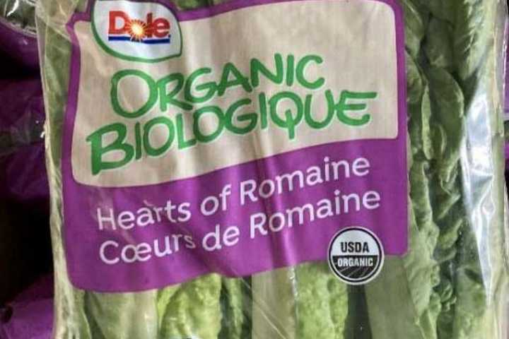 Recall Issued For Romaine Lettuce Due To E. Coli Risk