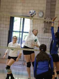 Irvington High School Sports Teams Put Up Impressive Numbers