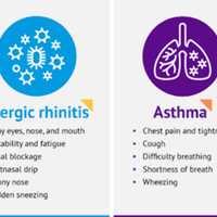 <p>Phelps Hospital outlines the symptoms of allergic rhinitis and asthma.</p>