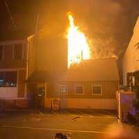 50 Animals Saved In Westport Fire As Residents Jump From Windows