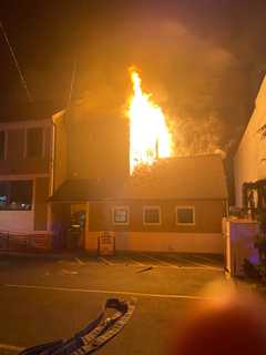 50 Animals Saved In Westport Fire As Residents Jump From Windows