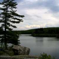 <p>The scenic beauty of Pine Meadow Lake in Harriman State Park is being trashed by inconsiderate visitors who leave behind beer bottles, bags of trash and camping equipment.</p>