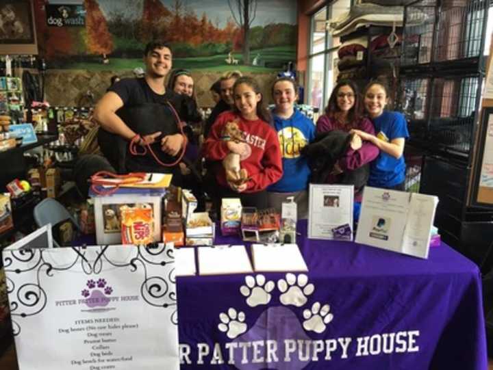 Pitter Patter Puppy House of Lyndhurst will host its first tricky tray fundraiser at the American Legion on Saturday.