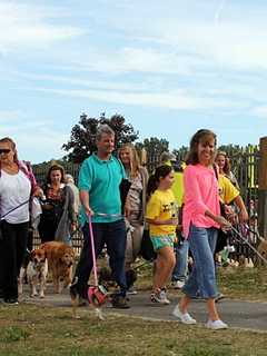 Hounds Are Coming To The Sound