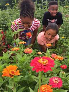 Poughkeepsie Farm Project Hosts Plant Sale