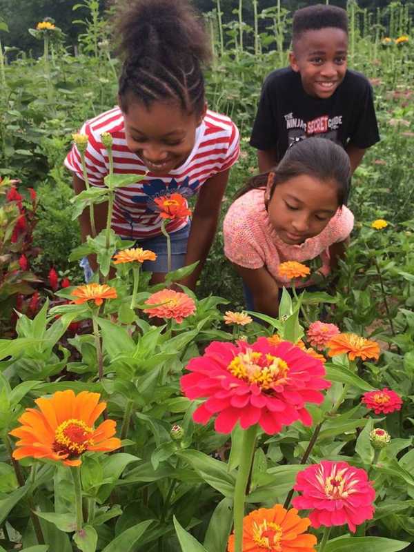 Poughkeepsie Farm Project Hosts Plant Sale