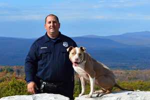 Poughkeepsie Police Welcome New K-9 Team Member
