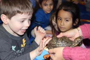Teatown Nature Program Nurtures Pocantico Hills Preschoolers
