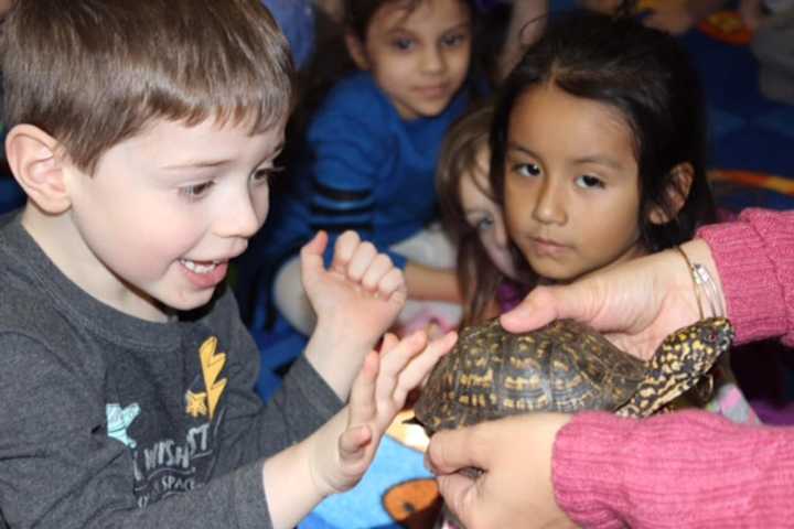 Teatown Nature Program Nurtures Pocantico Hills Preschoolers