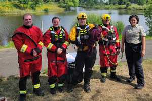 Firefighters Rescue Pooch On The Lam Who Escaped To Tiny Prince William Island