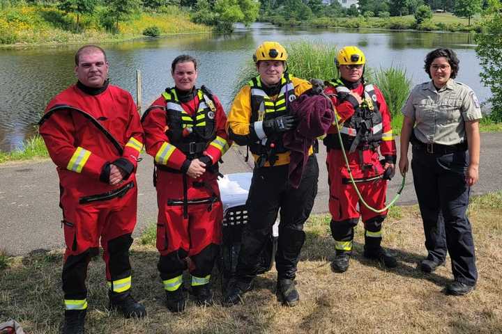 Firefighters Rescue Pooch On The Lam Who Escaped To Tiny Prince William Island