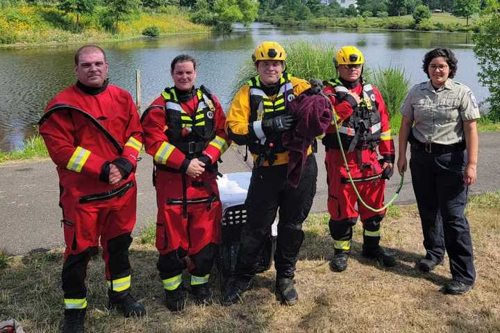 Firefighters Rescue Pooch On The Lam Who Escaped To Tiny Prince William Island