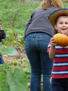 Get In The Halloween Spirit With Fall Events 