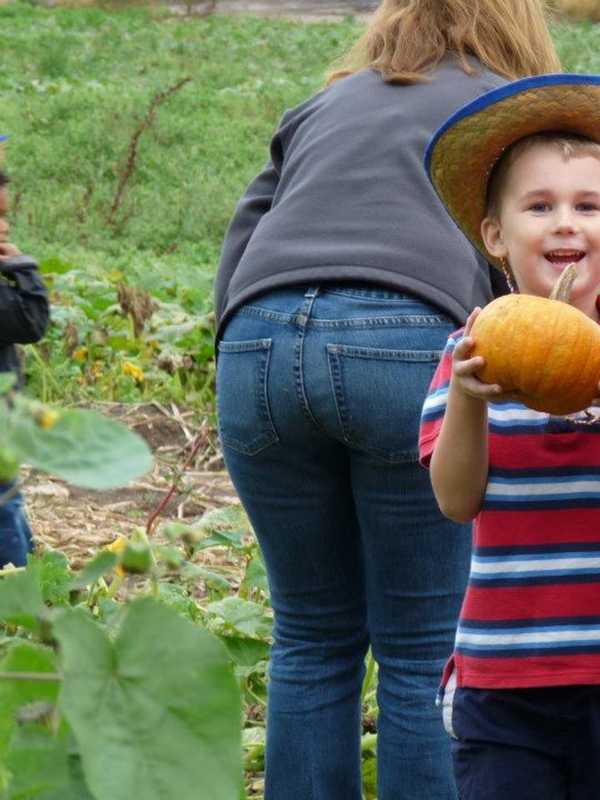 Get In The Halloween Spirit With Fall Events 