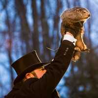 <p>Punxsutawney Phil emerged from his perch in Pennsylvania and has just delivered his eagerly awaited Groundhog Day prediction.</p>