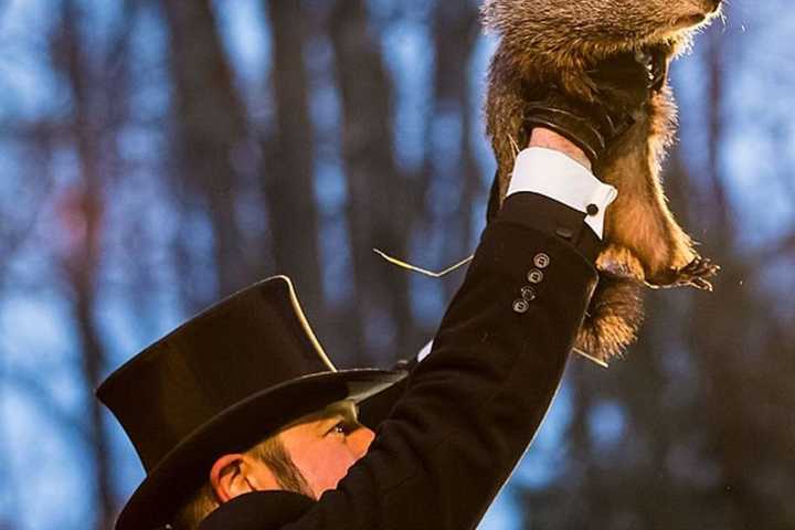 Decision Day: Punxsutawney Phil Makes His Awaited Prediction With Arctic Blast Due To Arrive