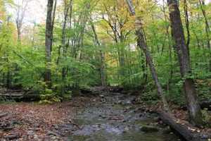 Lost Hikers Rescued By Forest Rangers In Region