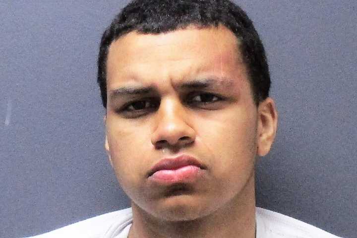 Sleeping NYC Taxi Thief Tells Rochelle Park Police He's Headed To Great Adventure