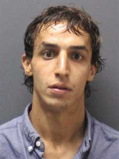 Rochelle Park PD: Bandit Captured After Burglary, Vandalism Spree At Several Businesses