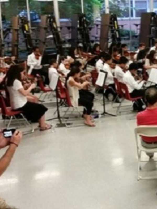 Rockland Youth Orchestra To Perform Haydn, Coldplay