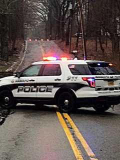 Ramapo Police Apprehend Suspect In Car Break-Ins