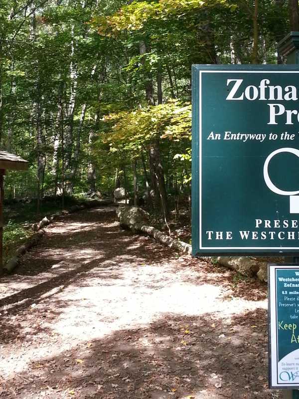 Take A Hike With Westchester Land Trust In Pound Ridge