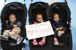 100 Preemies, Families Enjoy Special Night At Maritime Aquarium