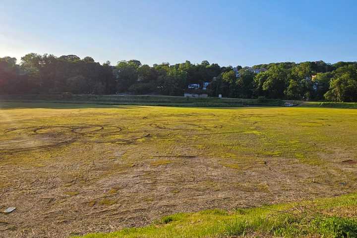 Public Park Torn Up By ATVs, Dirt-Bikes In Yonkers: Suspects At Large