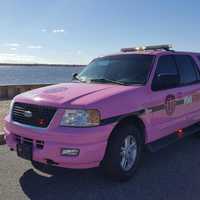 <p>Bergen County&#x27;s Pink Heals Cancer Awareness organization is dedicating a pink Ford Expedition to honor Ryan Handschin, 24.</p>