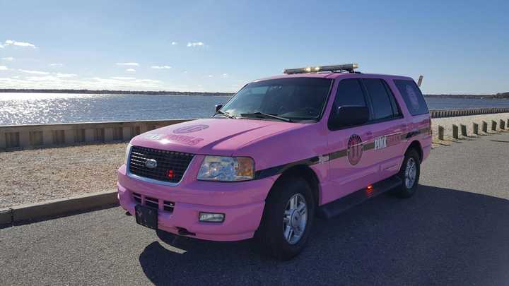 Bergen County&#x27;s Pink Heals Cancer Awareness organization is dedicating a pink Ford Expedition to honor Ryan Handschin, 24.