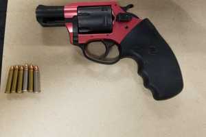 Lynbrook Man Asleep On Shoulder Of Parkway Nabbed With Loaded Gun, Police Say