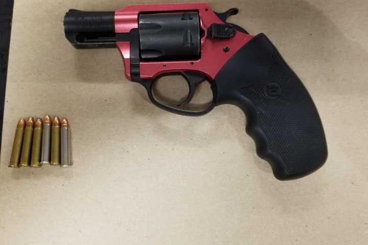 Lynbrook Man Asleep On Shoulder Of Parkway Nabbed With Loaded Gun, Police Say