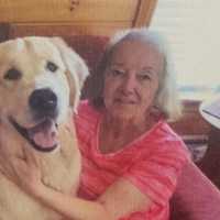 New York State Police Searching For Missing 78-Year-Old Woman