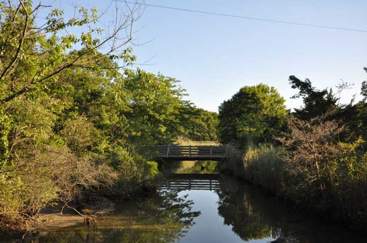 Niantic's Rocky Neck State Park provides beaches and trails. Daily Voice has the latest breaking news you need to know. Image&nbsp;CC BY-SA 4.0 via Wikimedia Commons.