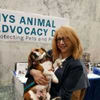 <p>State Assemblywoman Linda Rosenthal holds a rescued beagle. She sponsored a bill that would require certain research facilities to set up adoption programs for retired lab animals.</p>