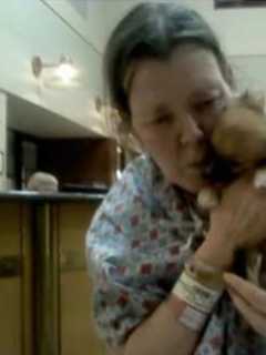 Community Rallies For Dutchess Woman Whose Service Dog Was Killed