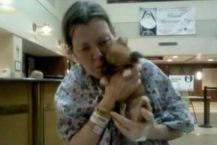 Poughkeepsie resident Rosemary &quot;Rosie&quot; Cole (shown cuddling Honey), who uses a wheelchair, lost her tiny service dog on Friday when it was mauled to death by a pit bull.