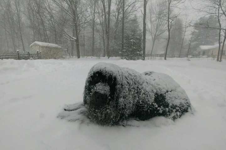 Send Us Your Snow Photos, Dutchess