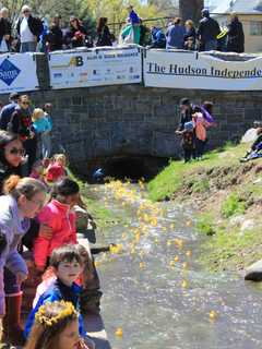 Tarrytown Hosts Rotary Rubber Duck Derby