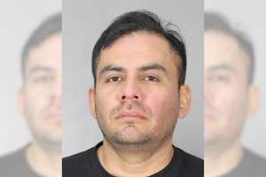 Westbury Man Drives Drunk With 3 Children In Backseat, Crashes Into Tree: Police