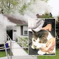 <p>Saddle Brook Police Officer Matt Benus rescued a cat from the Hutter Street fire.</p>