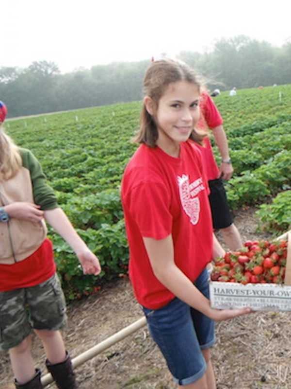 2 Tons Of Fun: Monroe Church Dishes Up Its Annual Strawberry Festival