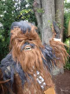 Star Wars Invades Saw Mill Club's Family Fun Day