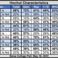 <p>How registered voters described New York Gov. Kathy Hochul in a recent Siena College poll.</p>