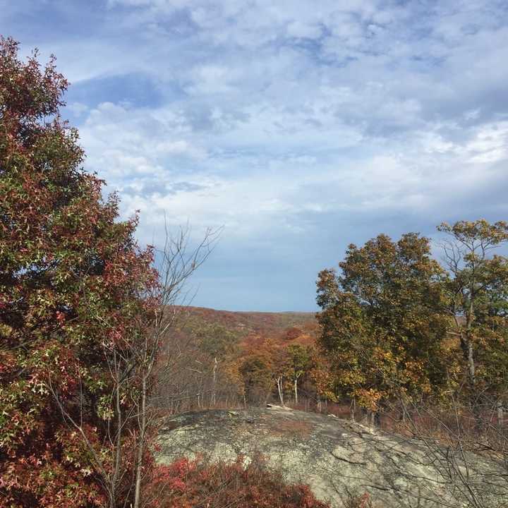 Harriman State Park is a popular spot for Stony Point residents.