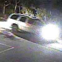 <p>The vehicle involved in the incident</p>