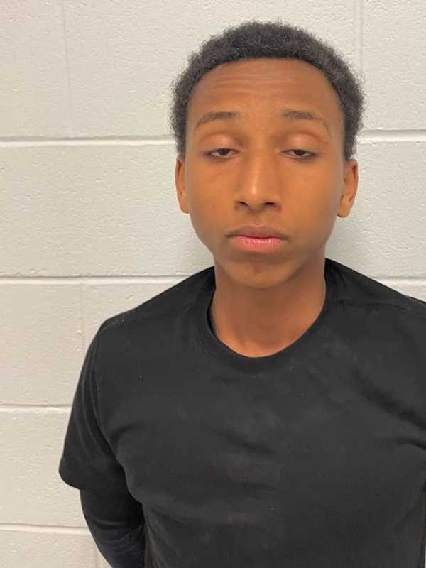 Teen To Be Tried As Adult For Armed Carjacking In Montgomery County: Police